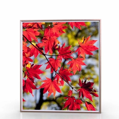 43 Zoll Wifi-Wolken-Digital-Bilderrahmen LCD-Signage-Android-Foto-Rahmen